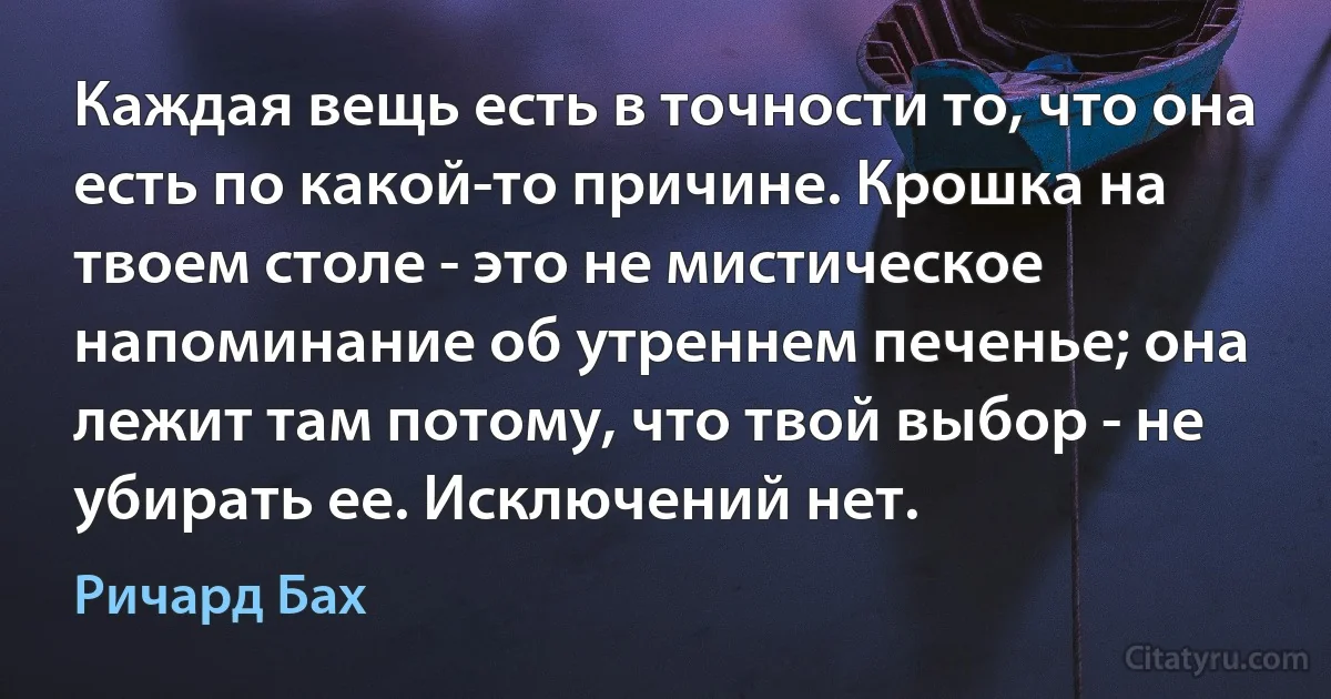 Каждая вещь есть в точности то, что она есть по какой-то причине. Крошка на твоем столе - это не мистическое напоминание об утреннем печенье; она лежит там потому, что твой выбор - не убирать ее. Исключений нет. (Ричард Бах)