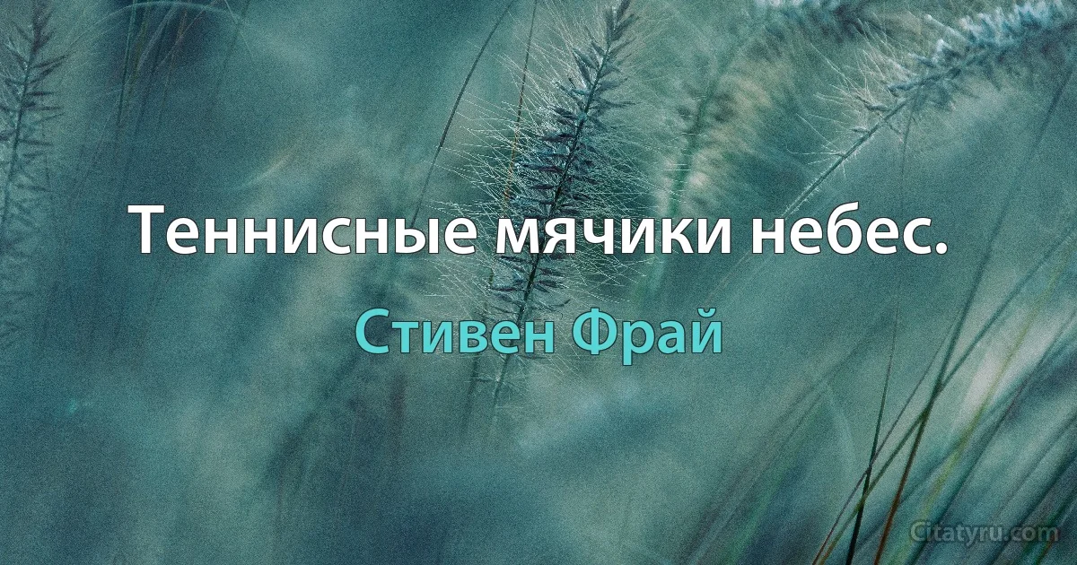 Теннисные мячики небес. (Стивен Фрай)