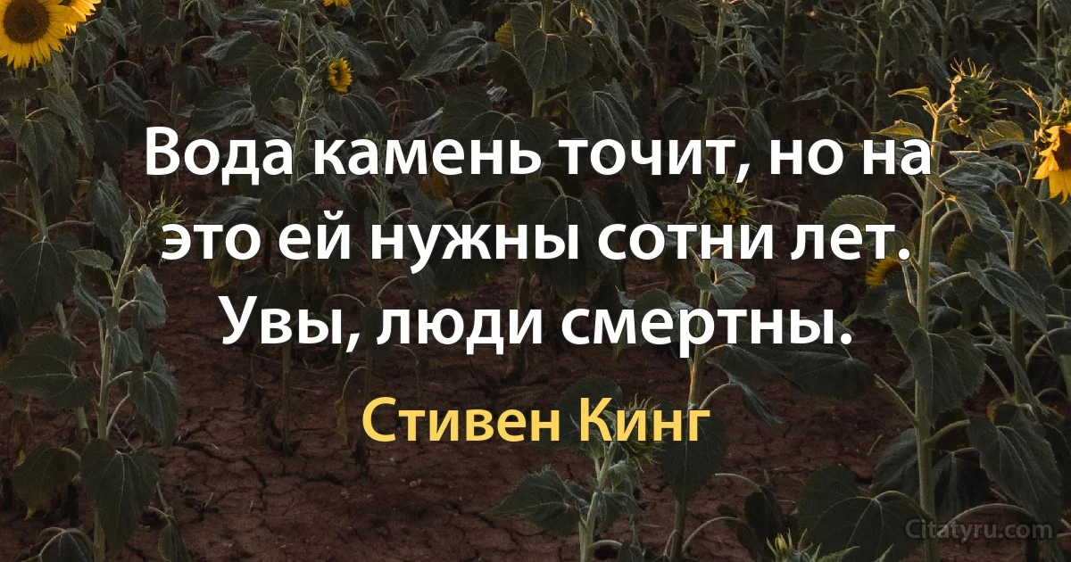 Вода камень точит, но на это ей нужны сотни лет. Увы, люди смертны. (Стивен Кинг)