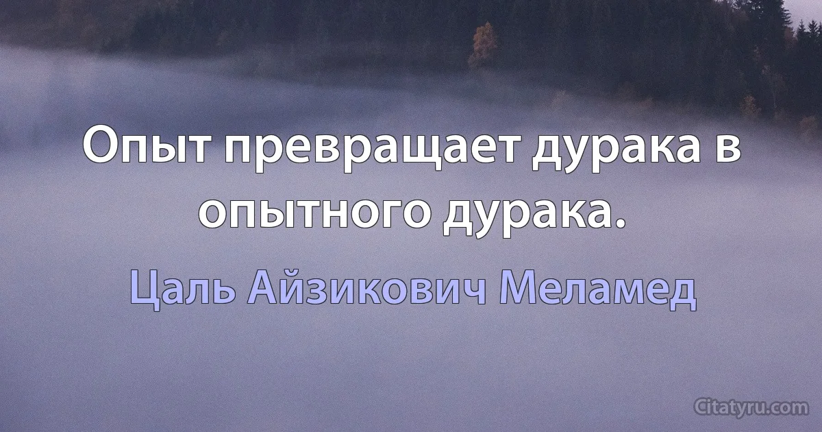 Опыт превращает дурака в опытного дурака. (Цаль Айзикович Меламед)