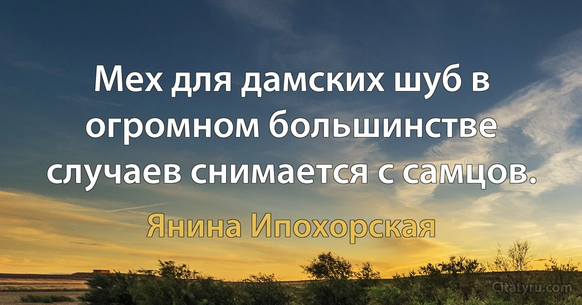 Мех для дамских шуб в огромном большинстве случаев снимается с самцов. (Янина Ипохорская)