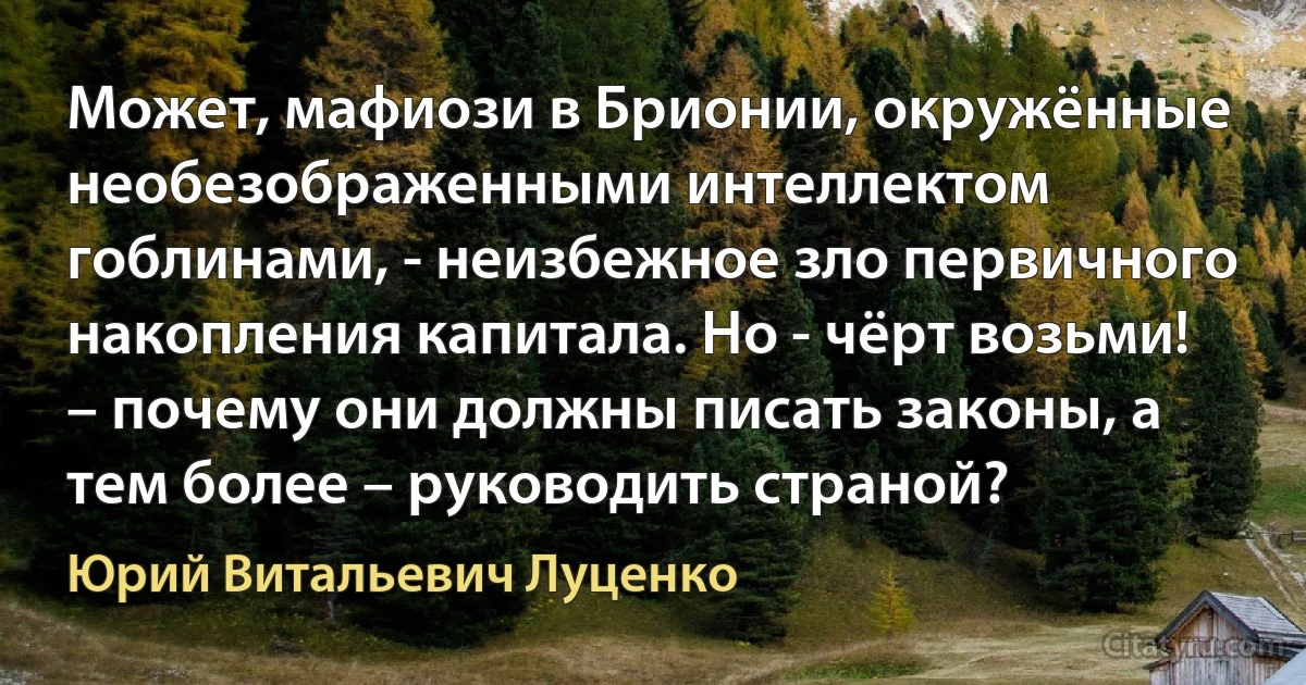 Может, мафиози в Брионии, окружённые необезображенными интеллектом гоблинами, - неизбежное зло первичного накопления капитала. Но - чёрт возьми! – почему они должны писать законы, а тем более – руководить страной? (Юрий Витальевич Луценко)