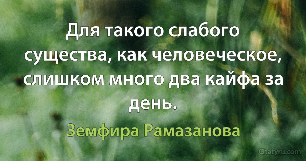 Для такого слабого существа, как человеческое, слишком много два кайфа за день. (Земфира Рамазанова)