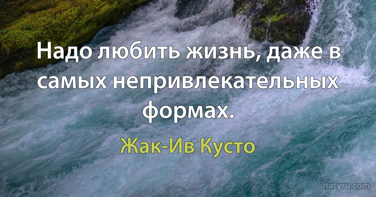 Надо любить жизнь, даже в самых непривлекательных формах. (Жак-Ив Кусто)