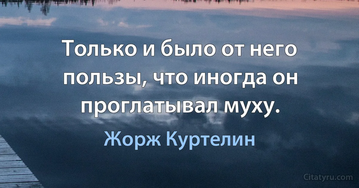 Только и было от него пользы, что иногда он проглатывал муху. (Жорж Куртелин)