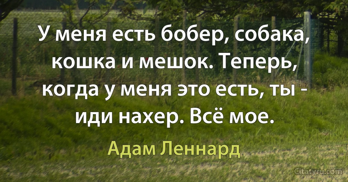 У меня есть бобер, собака, кошка и мешок. Теперь, когда у меня это есть, ты - иди нахер. Всё мое. (Адам Леннард)