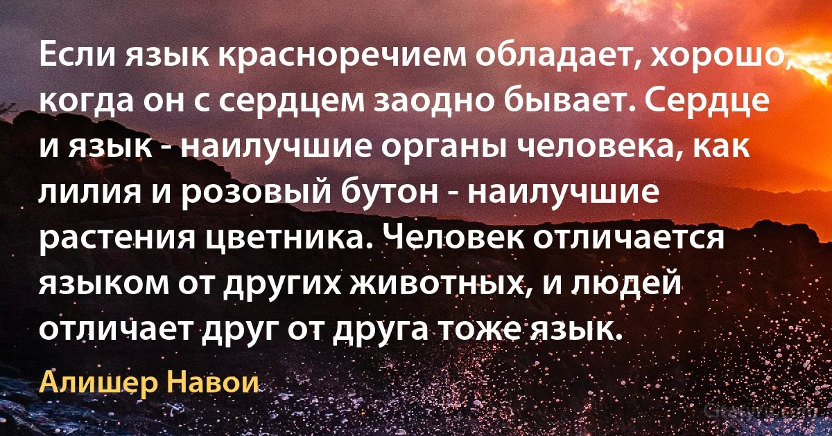 Если язык красноречием обладает, хорошо, когда он с сердцем заодно бывает. Сердце и язык - наилучшие органы человека, как лилия и розовый бутон - наилучшие растения цветника. Человек отличается языком от других животных, и людей отличает друг от друга тоже язык. (Алишер Навои)