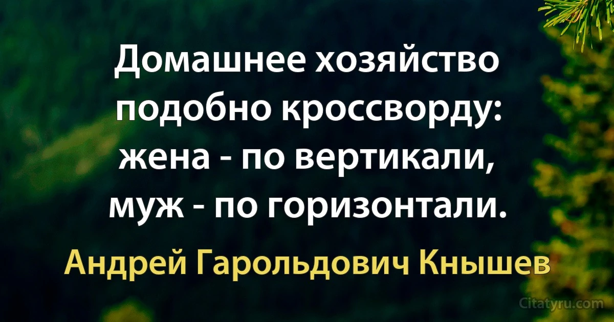 Домашнее хозяйство подобно кроссворду: жена - по вертикали, муж - по горизонтали. (Андрей Гарольдович Кнышев)