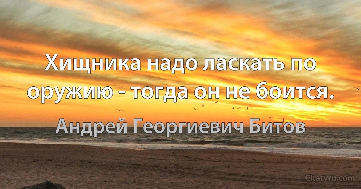 Хищника надо ласкать по оружию - тогда он не боится. (Андрей Георгиевич Битов)