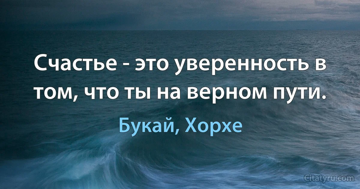 Счастье - это уверенность в том, что ты на верном пути. (Букай, Хорхе)