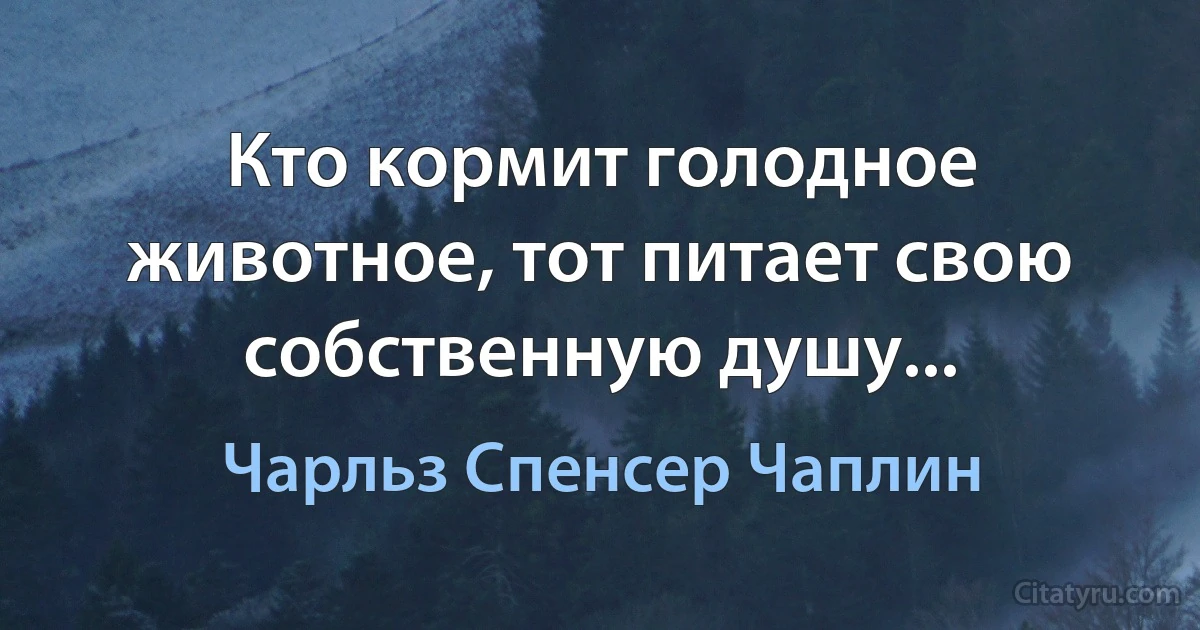 Кто кормит голодное животное, тот питает свою собственную душу... (Чарльз Спенсер Чаплин)