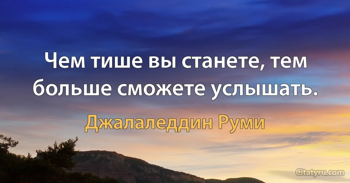 Чем тише вы станете, тем больше сможете услышать. (Джалаледдин Руми)