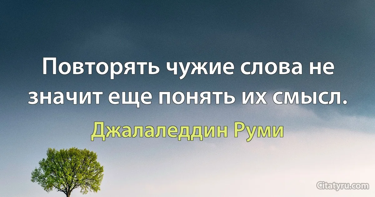 Повторять чужие слова не значит еще понять их смысл. (Джалаледдин Руми)