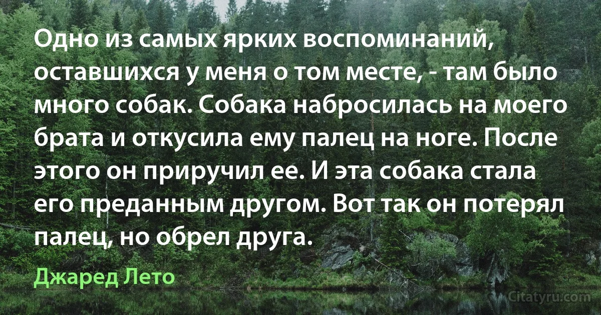 Одно из самых ярких воспоминаний, оставшихся у меня о том месте, - там было много собак. Собака набросилась на моего брата и откусила ему палец на ноге. После этого он приручил ее. И эта собака стала его преданным другом. Вот так он потерял палец, но обрел друга. (Джаред Лето)