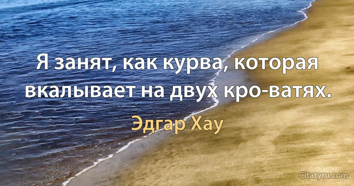 Я занят, как курва, которая вкалывает на двух кро­ватях. (Эдгар Хау)