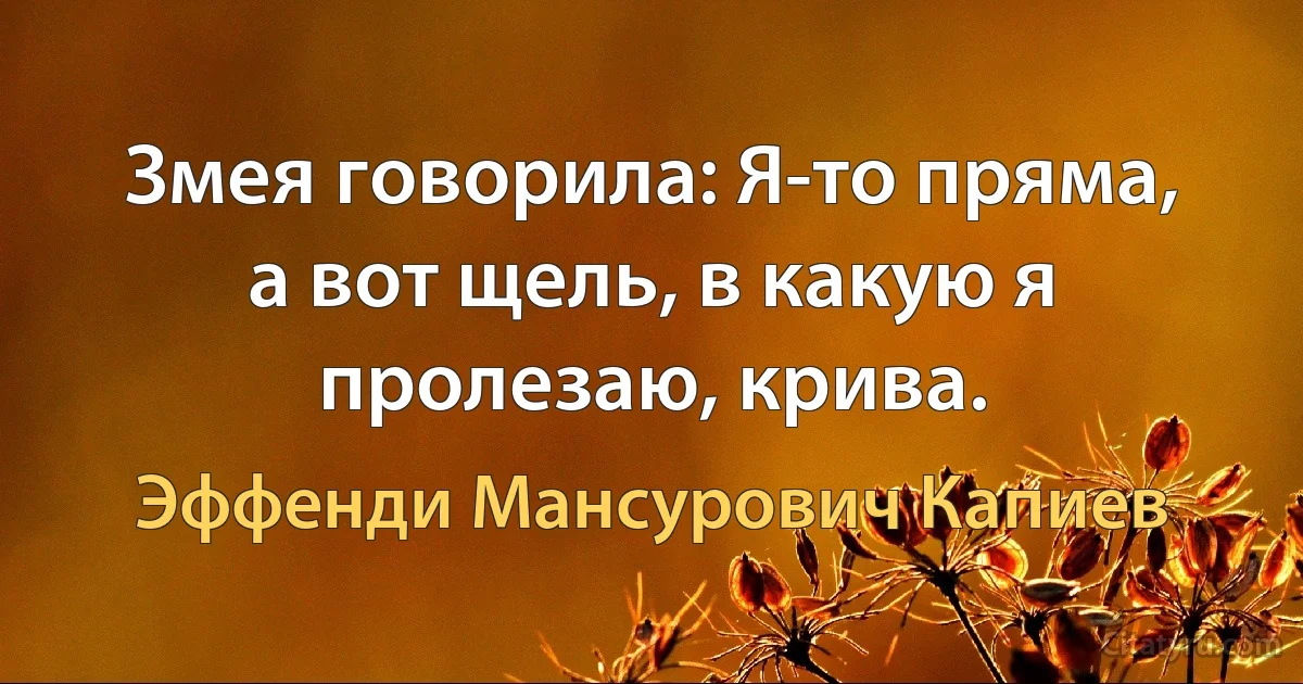 Змея говорила: Я-то пряма, а вот щель, в какую я пролезаю, крива. (Эффенди Мансурович Капиев)