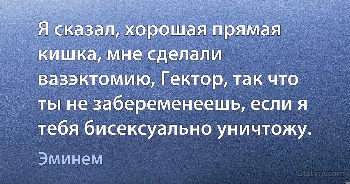 Я сказал, хорошая прямая кишка, мне сделали вазэктомию, Гектор, так что ты не забеременеешь, если я тебя бисексуально уничтожу. (Эминем)