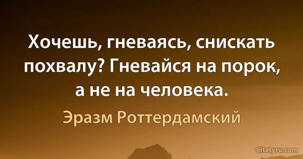 Хочешь, гневаясь, снискать похвалу? Гневайся на порок, а не на человека. (Эразм Роттердамский)