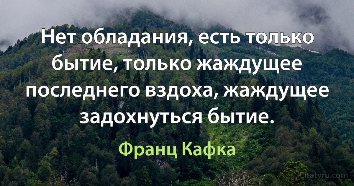 Нет обладания, есть только бытие, только жаждущее последнего вздоха, жаждущее задохнуться бытие. (Франц Кафка)