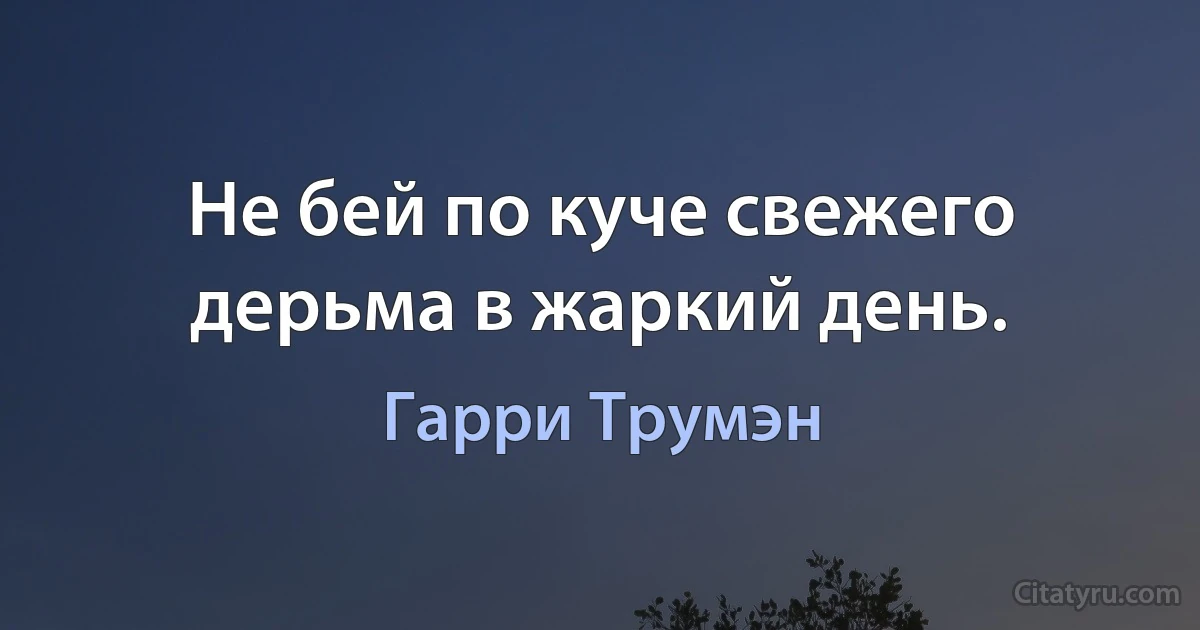 Не бей по куче свежего дерьма в жаркий день. (Гарри Трумэн)