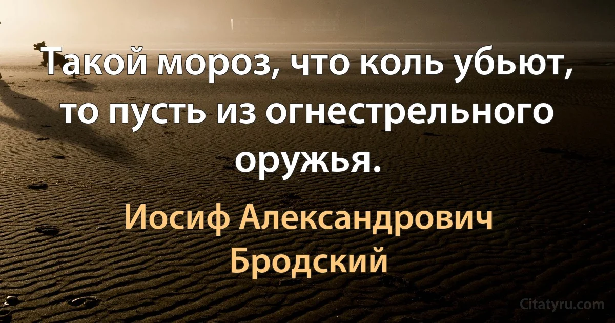 Такой мороз, что коль убьют, то пусть из огнестрельного оружья. (Иосиф Александрович Бродский)