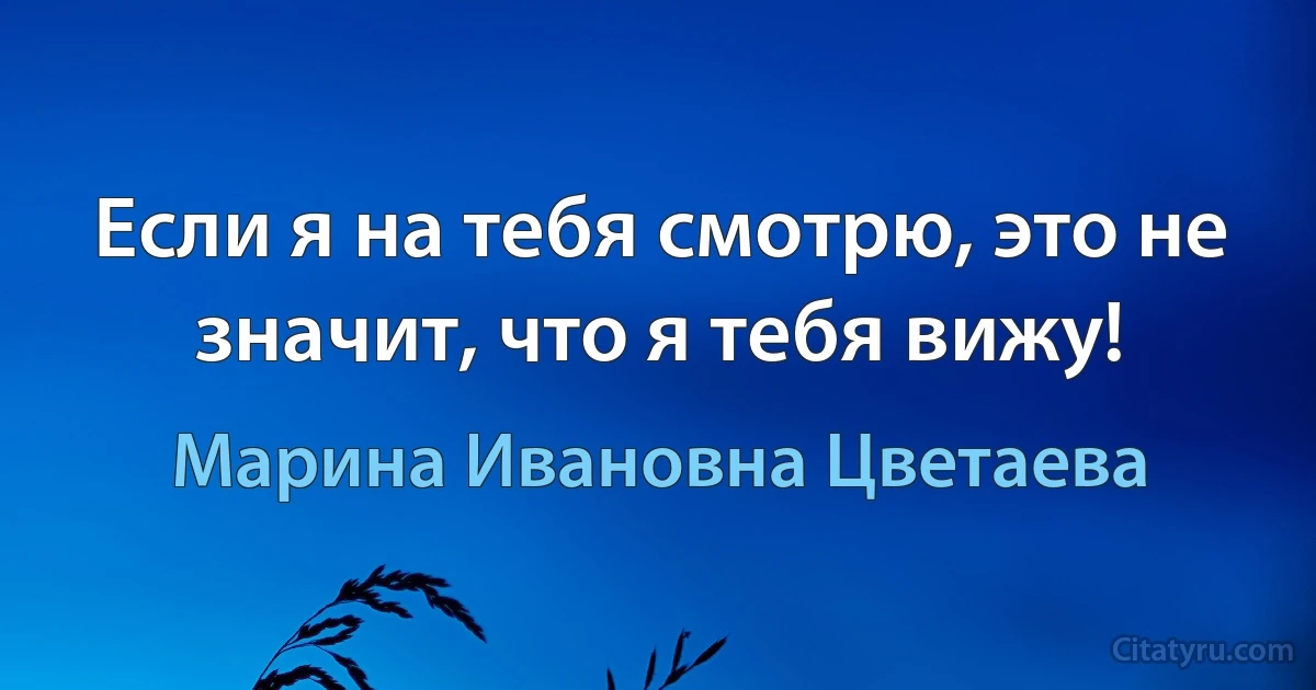 Если я на тебя смотрю, это не значит, что я тебя вижу! (Марина Ивановна Цветаева)