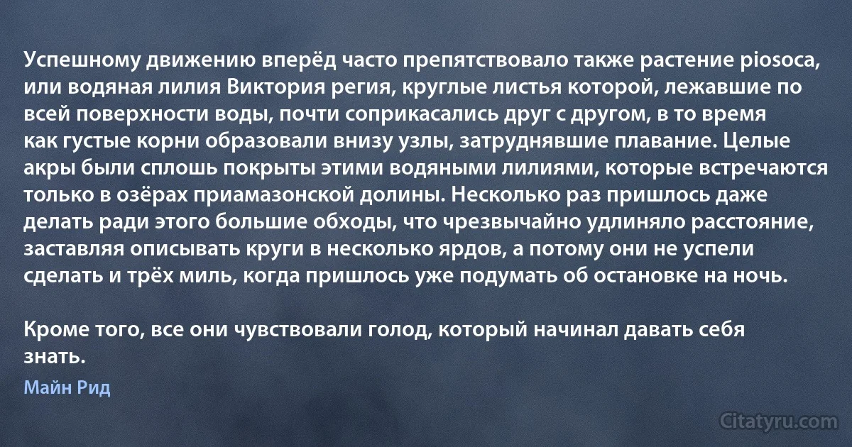 Успешному движению вперёд часто препятствовало также растение piosoca, или водяная лилия Виктория регия, круглые листья которой, лежавшие по всей поверхности воды, почти соприкасались друг с другом, в то время как густые корни образовали внизу узлы, затруднявшие плавание. Целые акры были сплошь покрыты этими водяными лилиями, которые встречаются только в озёрах приамазонской долины. Несколько раз пришлось даже делать ради этого большие обходы, что чрезвычайно удлиняло расстояние, заставляя описывать круги в несколько ярдов, а потому они не успели сделать и трёх миль, когда пришлось уже подумать об остановке на ночь.

Кроме того, все они чувствовали голод, который начинал давать себя знать. (Майн Рид)