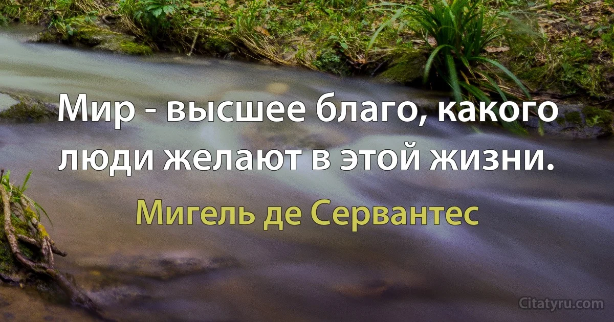 Мир - высшее благо, какого люди желают в этой жизни. (Мигель де Сервантес)