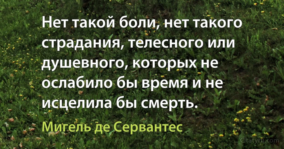 Нет такой боли, нет такого страдания, телесного или душевного, которых не ослабило бы время и не исцелила бы смерть. (Мигель де Сервантес)