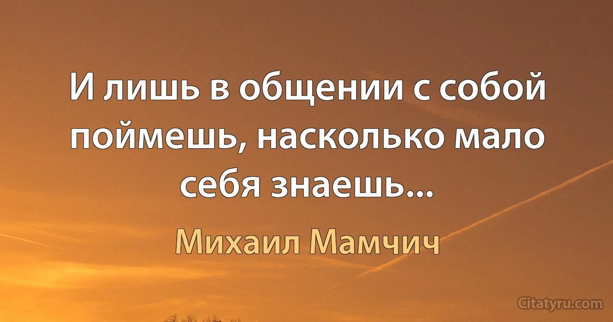 И лишь в общении с собой поймешь, насколько мало себя знаешь... (Михаил Мамчич)