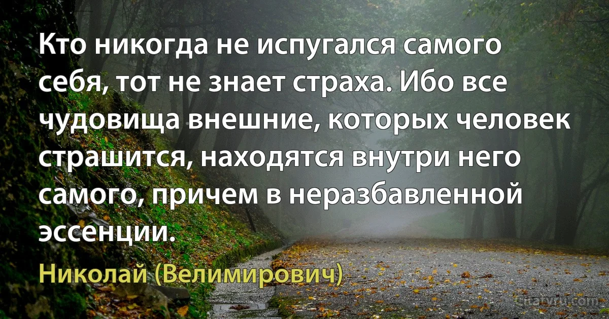 Кто никогда не испугался самого себя, тот не знает страха. Ибо все чудовища внешние, которых человек страшится, находятся внутри него самого, причем в неразбавленной эссенции. (Николай (Велимирович))