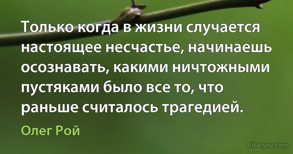 Только когда в жизни случается настоящее несчастье, начинаешь осознавать, какими ничтожными пустяками было все то, что раньше считалось трагедией. (Олег Рой)