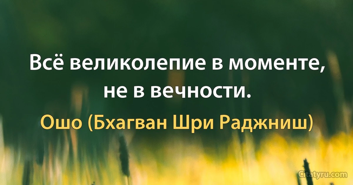 Всё великолепие в моменте, не в вечности. (Ошо (Бхагван Шри Раджниш))