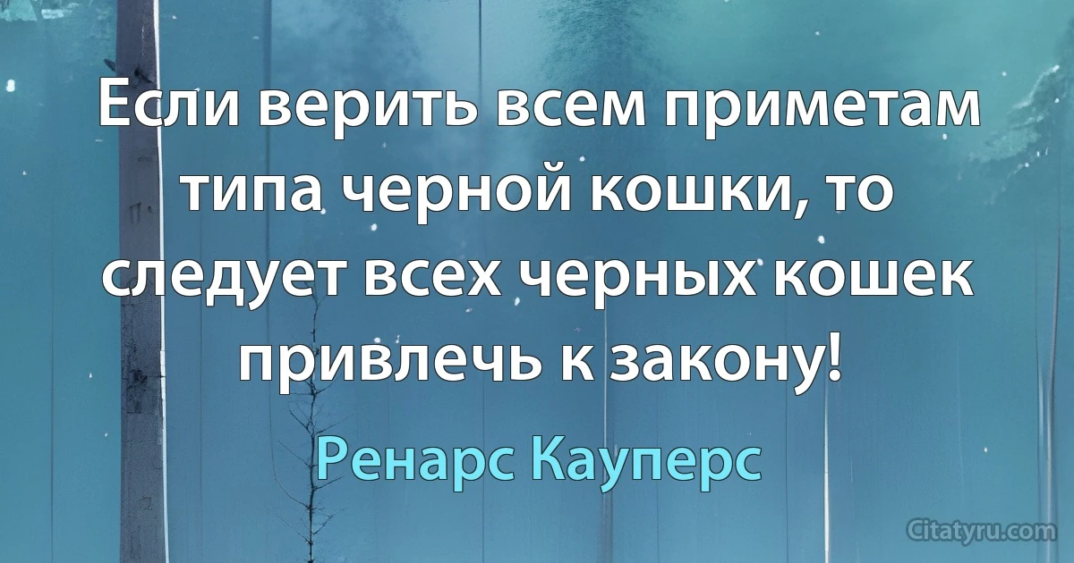 Если верить всем приметам типа черной кошки, то следует всех черных кошек привлечь к закону! (Ренарс Кауперс)