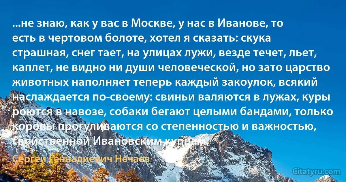 ...не знаю, как у вас в Москве, у нас в Иванове, то есть в чертовом болоте, хотел я сказать: скука страшная, снег тает, на улицах лужи, везде течет, льет, каплет, не видно ни души человеческой, но зато царство животных наполняет теперь каждый закоулок, всякий наслаждается по-своему: свиньи валяются в лужах, куры роются в навозе, собаки бегают целыми бандами, только коровы прогуливаются со степенностью и важностью, свойственной Ивановским купцам. (Сергей Геннадиевич Нечаев)