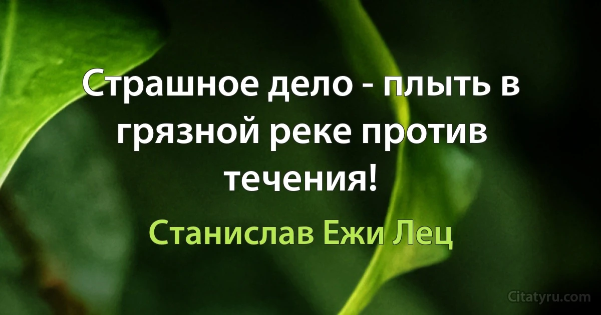 Страшное дело - плыть в грязной реке против течения! (Станислав Ежи Лец)