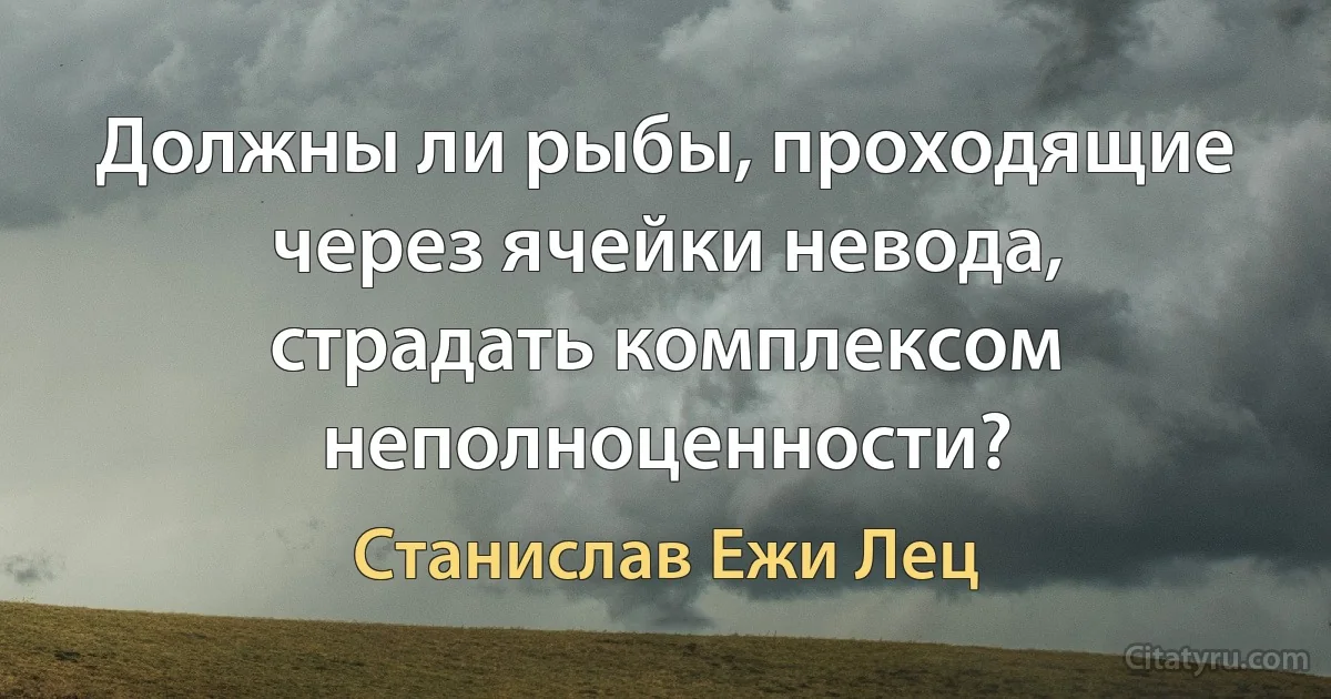 Должны ли рыбы, проходящие через ячейки невода, страдать комплексом неполноценности? (Станислав Ежи Лец)