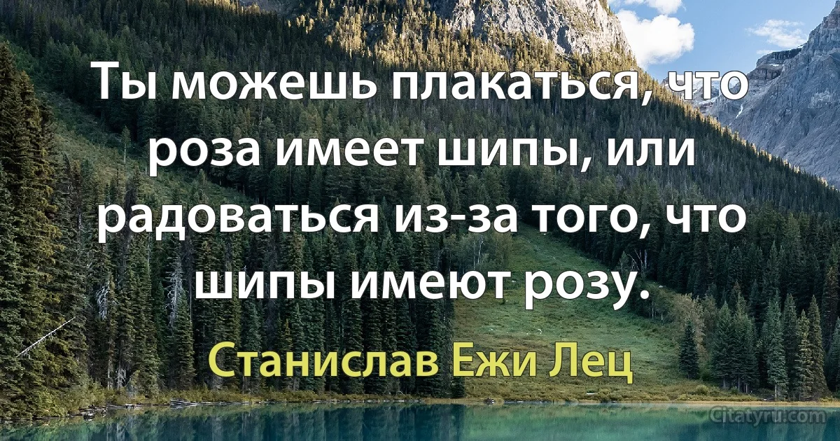 Ты можешь плакаться, что роза имеет шипы, или радоваться из-за того, что шипы имеют розу. (Станислав Ежи Лец)