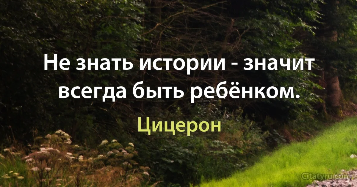 Не знать истории - значит всегда быть ребёнком. (Цицерон)