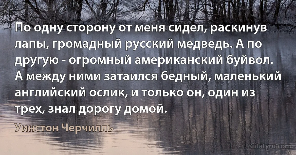 По одну сторону от меня сидел, раскинув лапы, громадный русский медведь. А по другую - огромный американский буйвол. А между ними затаился бедный, маленький английский ослик, и только он, один из трех, знал дорогу домой. (Уинстон Черчилль)