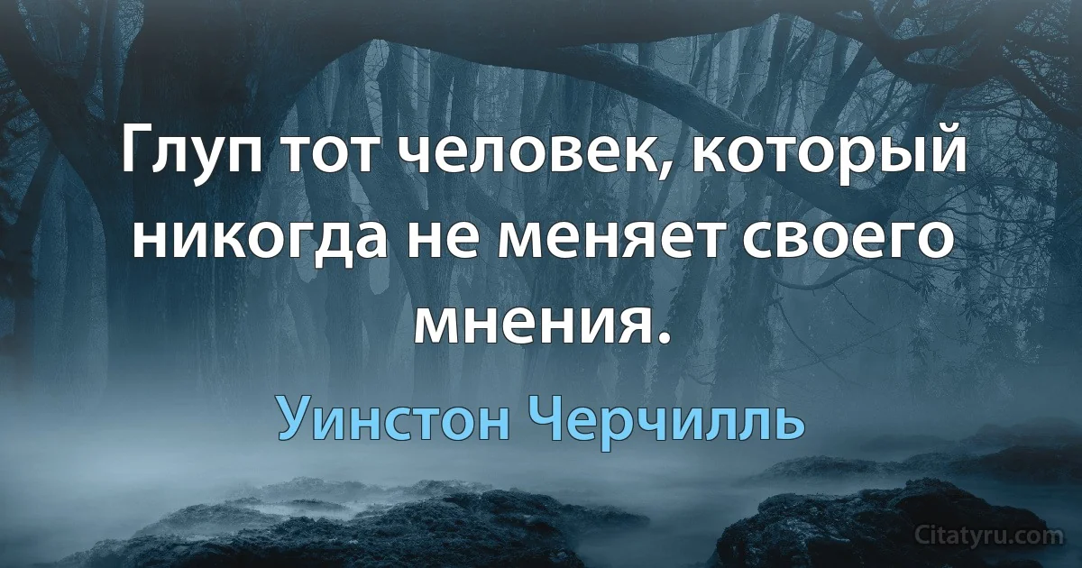 Глуп тот человек, который никогда не меняет своего мнения. (Уинстон Черчилль)