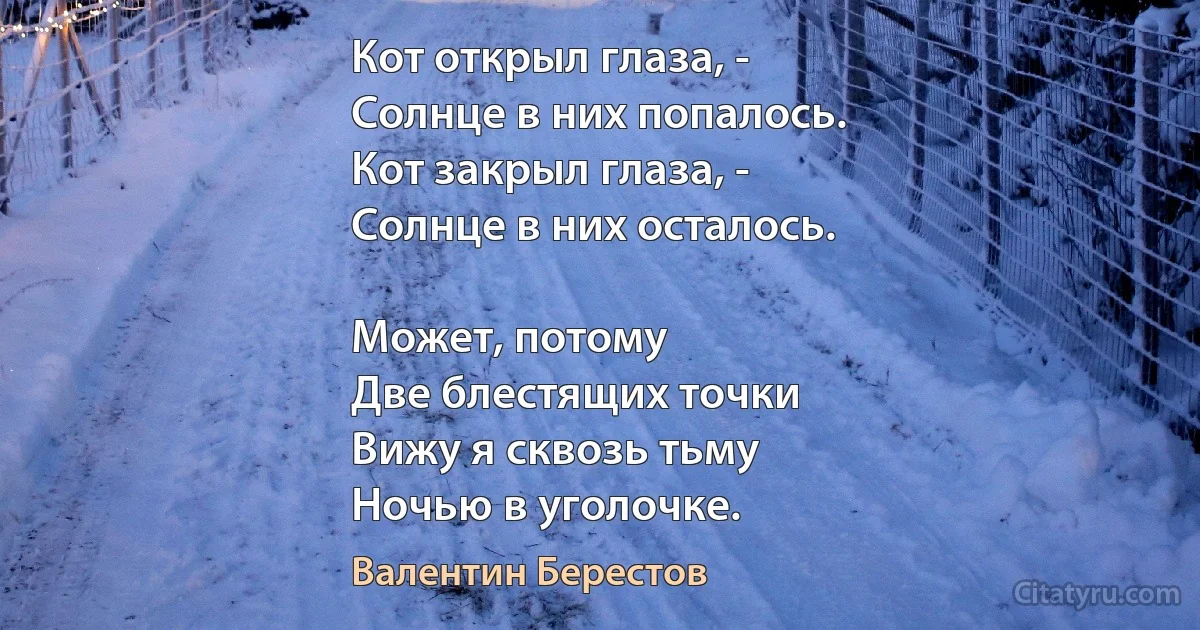 Кот открыл глаза, -
Солнце в них попалось. 
Кот закрыл глаза, -
Солнце в них осталось. 

Может, потому 
Две блестящих точки
Вижу я сквозь тьму
Ночью в уголочке. (Валентин Берестов)