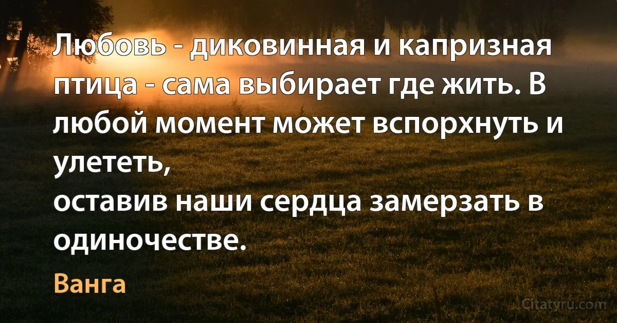 Любовь - диковинная и капризная птица - сама выбирает где жить. В любой момент может вспорхнуть и улететь,
оставив наши сердца замерзать в одиночестве. (Ванга)