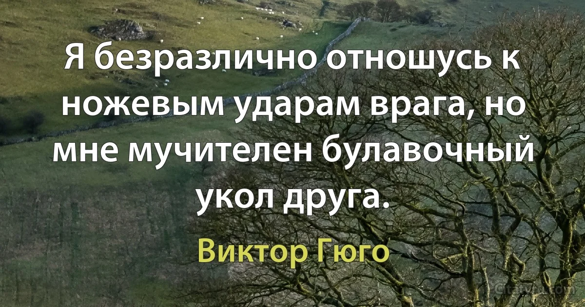 Я безразлично отношусь к ножевым ударам врага, но мне мучителен булавочный укол друга. (Виктор Гюго)