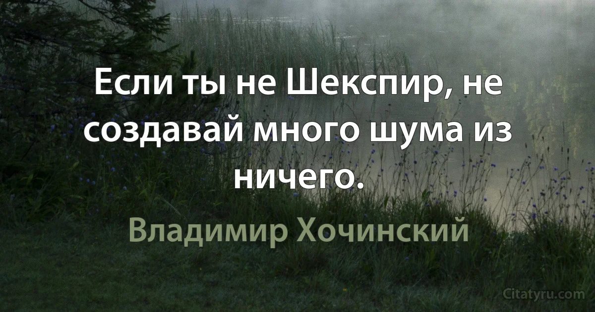 Если ты не Шекспир, не создавай много шума из ничего. (Владимир Хочинский)