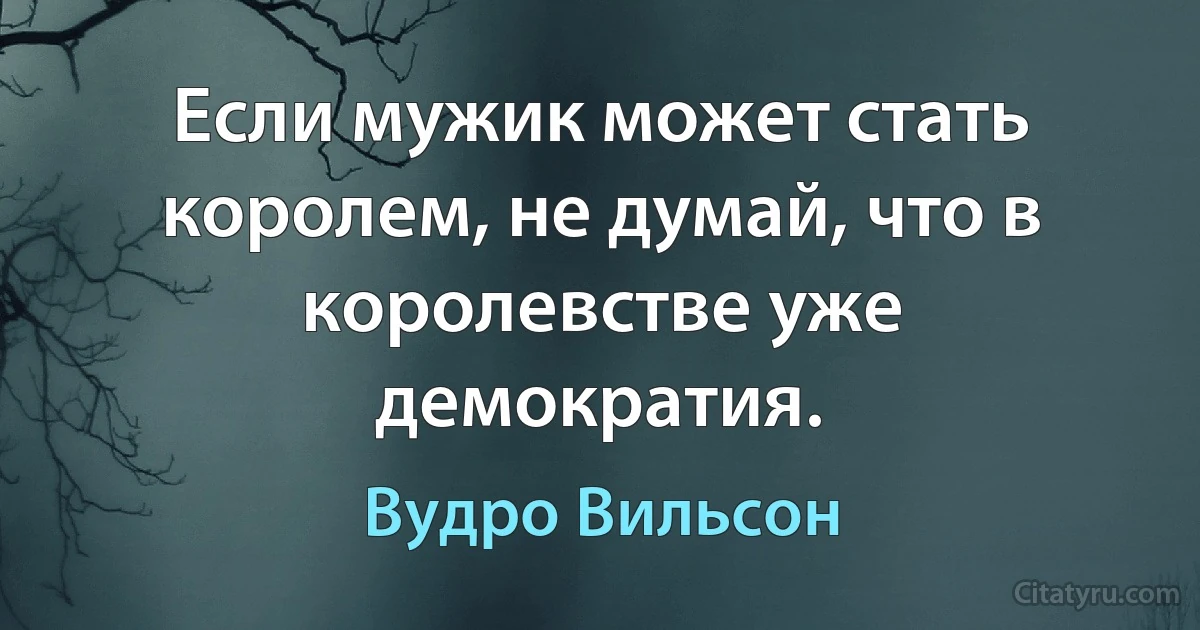 Если мужик может стать королем, не думай, что в королевстве уже демократия. (Вудро Вильсон)