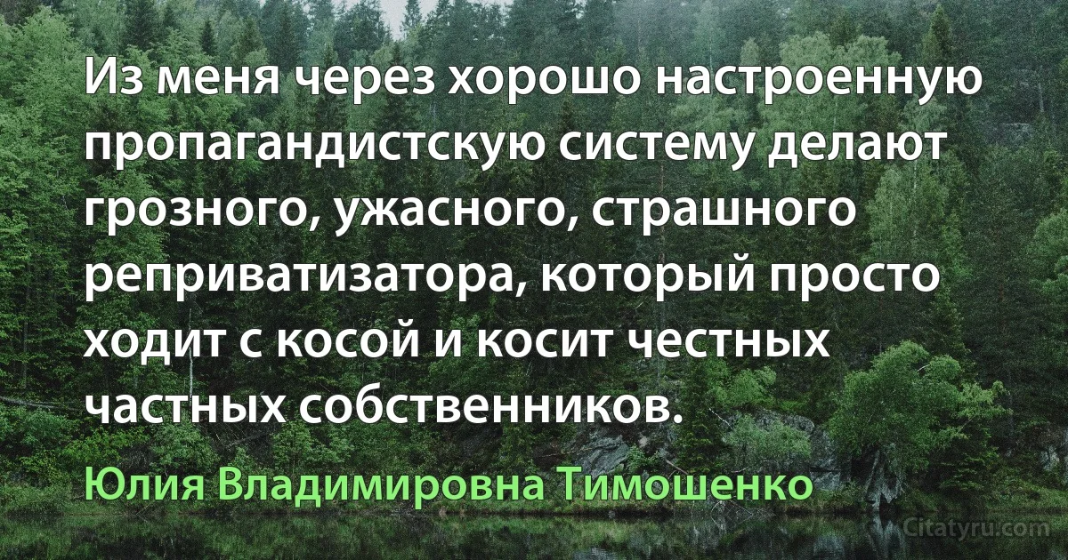 Из меня через хорошо настроенную пропагандистскую систему делают грозного, ужасного, страшного реприватизатора, который просто ходит с косой и косит честных частных собственников. (Юлия Владимировна Тимошенко)