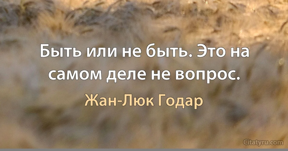 Быть или не быть. Это на самом деле не вопрос. (Жан-Люк Годар)