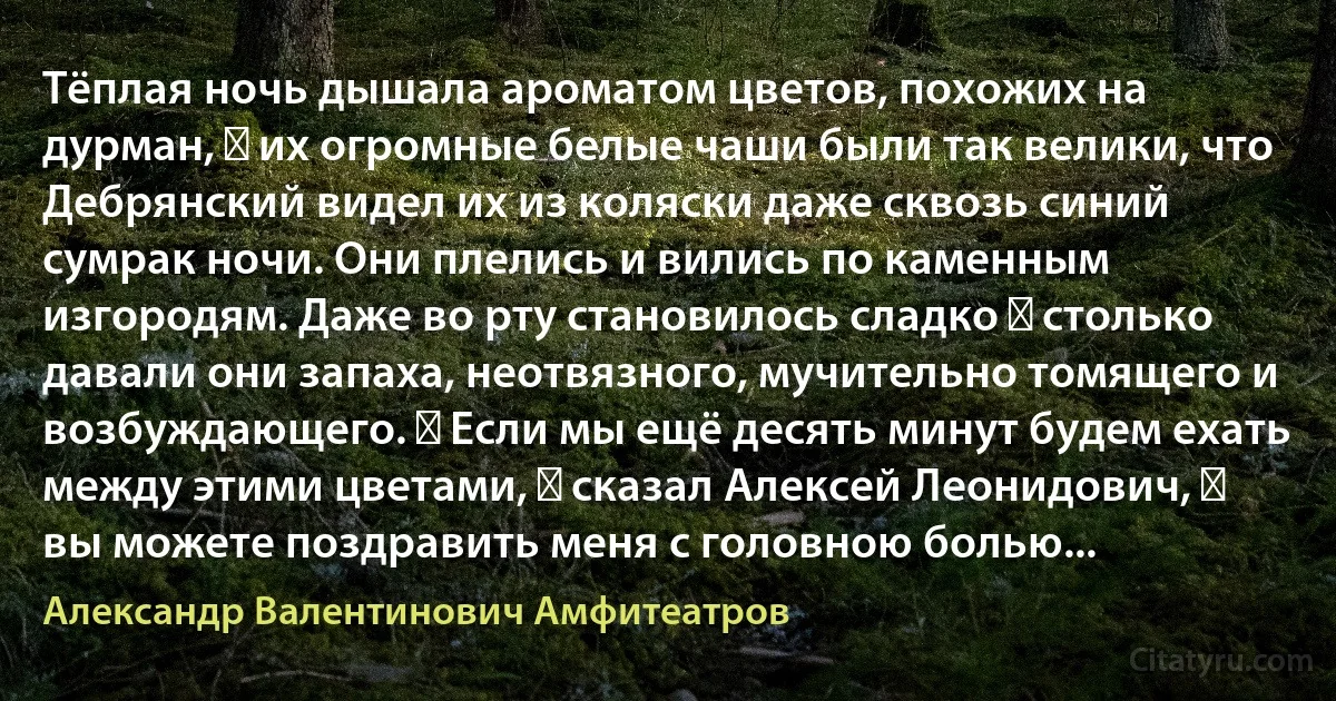 Тёплая ночь дышала ароматом цветов, похожих на дурман, ― их огромные белые чаши были так велики, что Дебрянский видел их из коляски даже сквозь синий сумрак ночи. Они плелись и вились по каменным изгородям. Даже во рту становилось сладко ― столько давали они запаха, неотвязного, мучительно томящего и возбуждающего. ― Если мы ещё десять минут будем ехать между этими цветами, ― сказал Алексей Леонидович, ― вы можете поздравить меня с головною болью... (Александр Валентинович Амфитеатров)