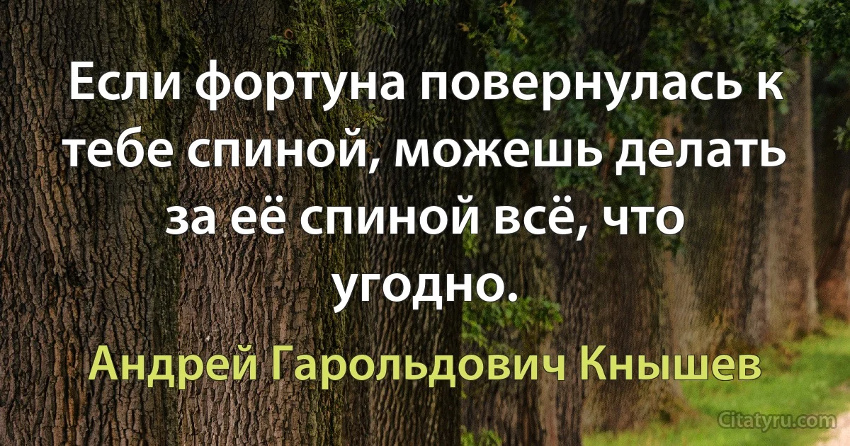 Если фортуна повернулась к тебе спиной, можешь делать за её спиной всё, что угодно. (Андрей Гарольдович Кнышев)